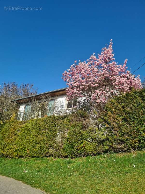 Maison à LES ARSURES