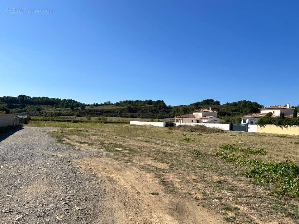 Terrain à FELINES-MINERVOIS