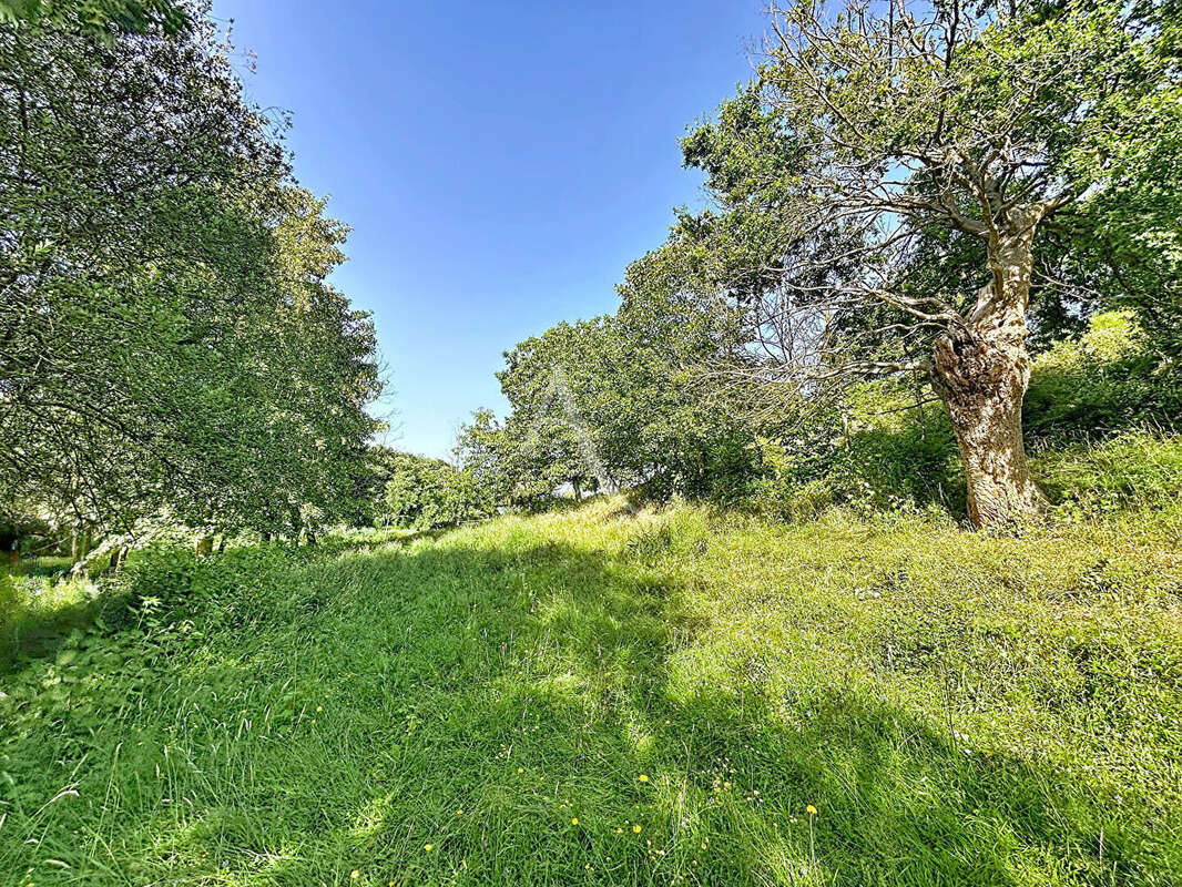 Terrain Loigne Sur Mayenne 23946 m2 - photo 4
