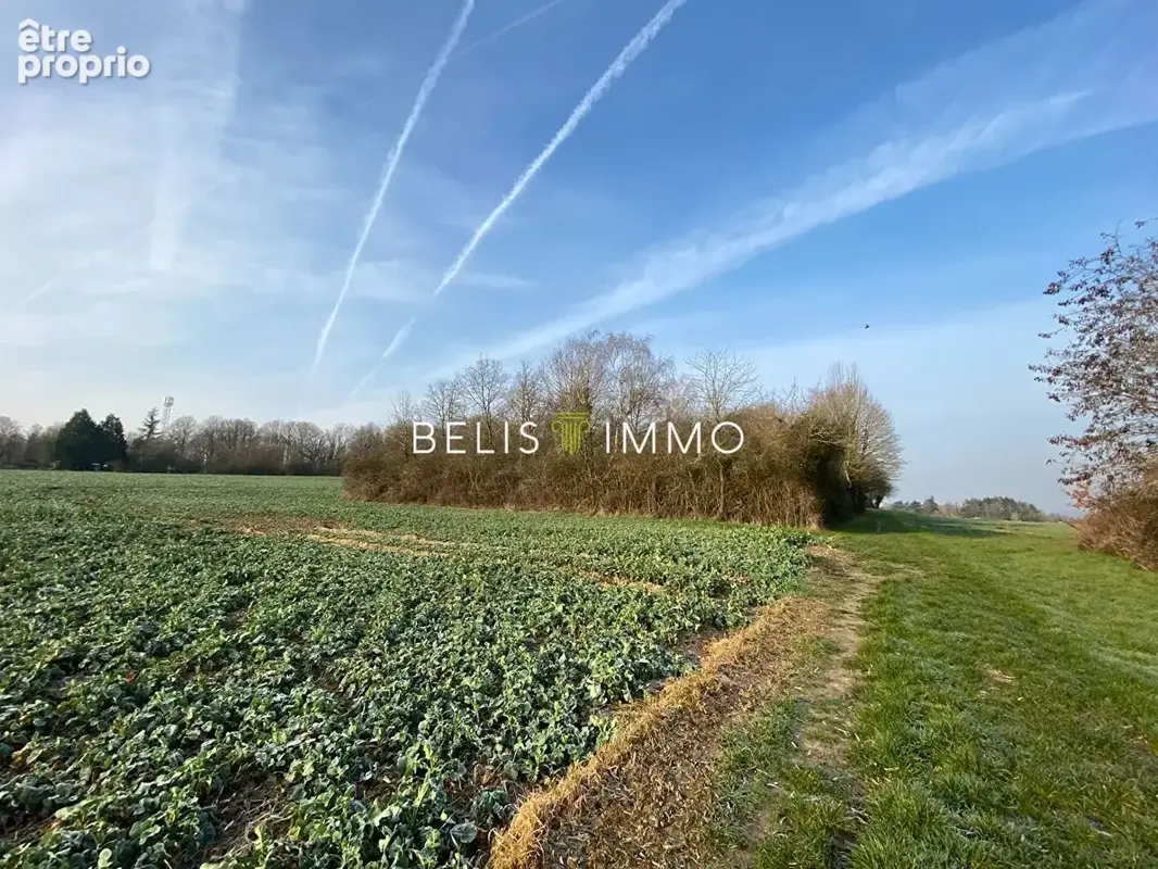 Terrain 2 290 m² à vendre à Amboise (37400) - photo 3