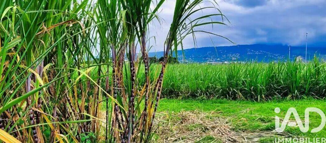 Photo 1 - Terrain à SAINT-PAUL