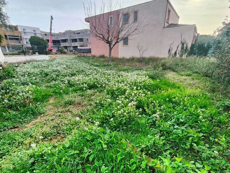 Terrain à FRONTIGNAN
