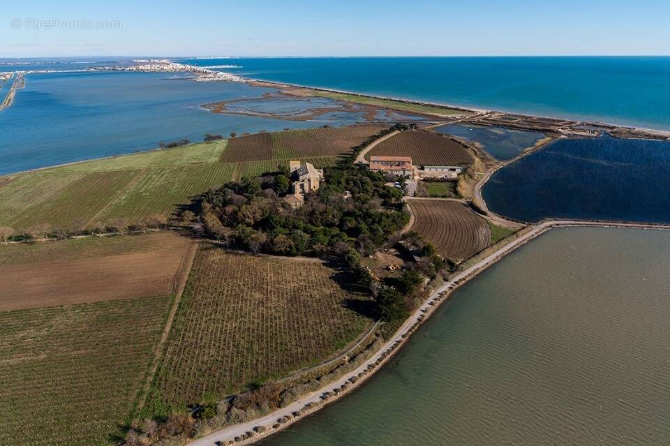 Terrain à VILLENEUVE-LES-MAGUELONE
