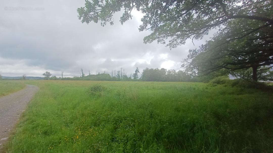 Terrain à EGUZON-CHANTOME