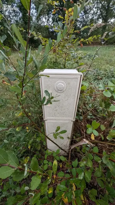 A VENDRE Terrain constructible de 1027 m² - Au coeur du golf du Tronchet (35540) - photo 6