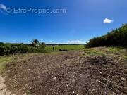 Terrain à SAINT-FRANCOIS