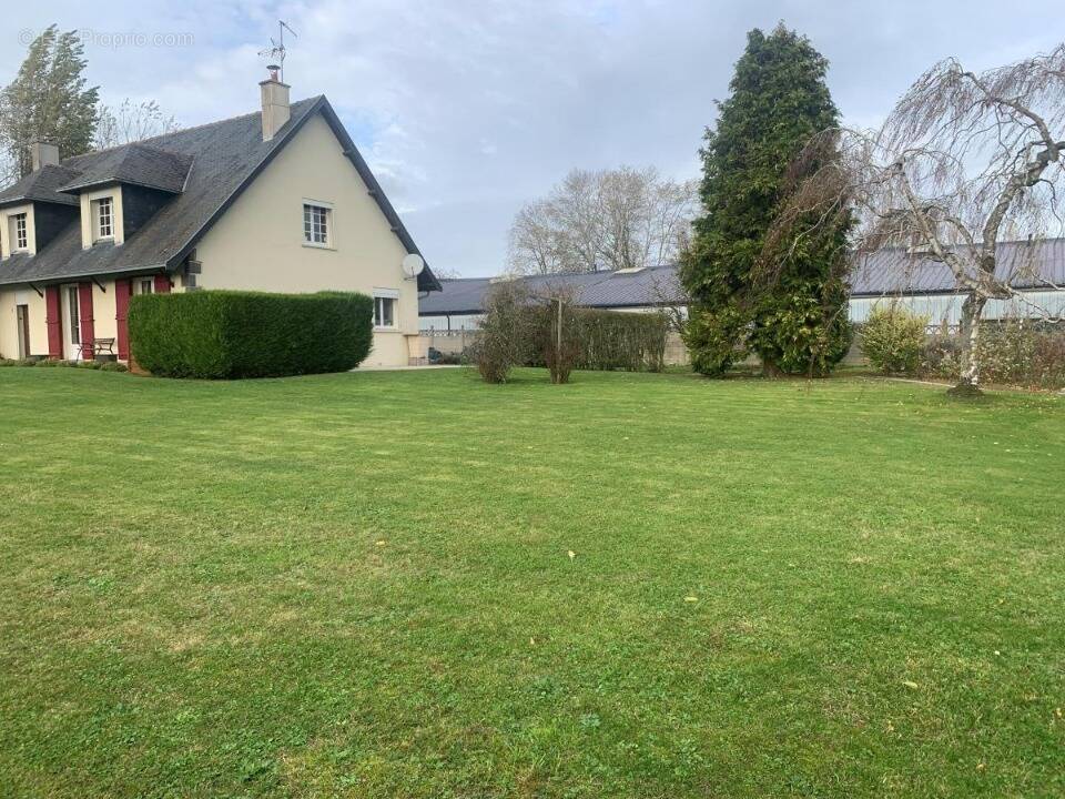 Terrain à NIERGNIES