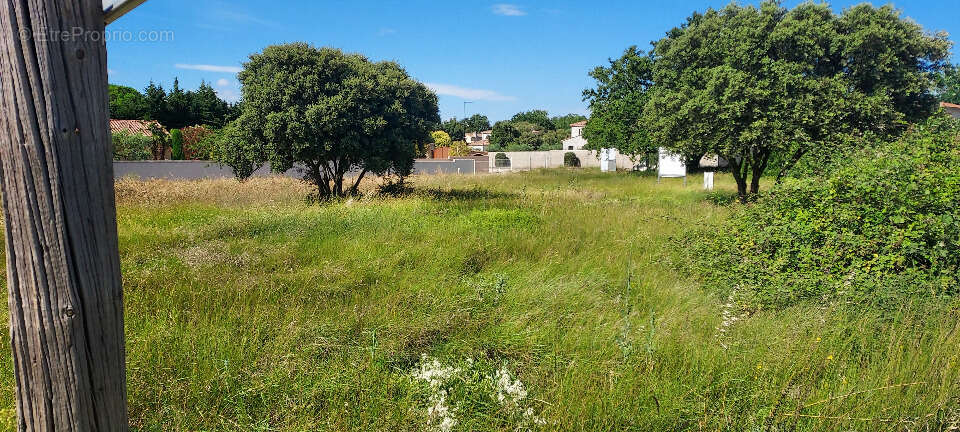 Terrain à AVIGNON