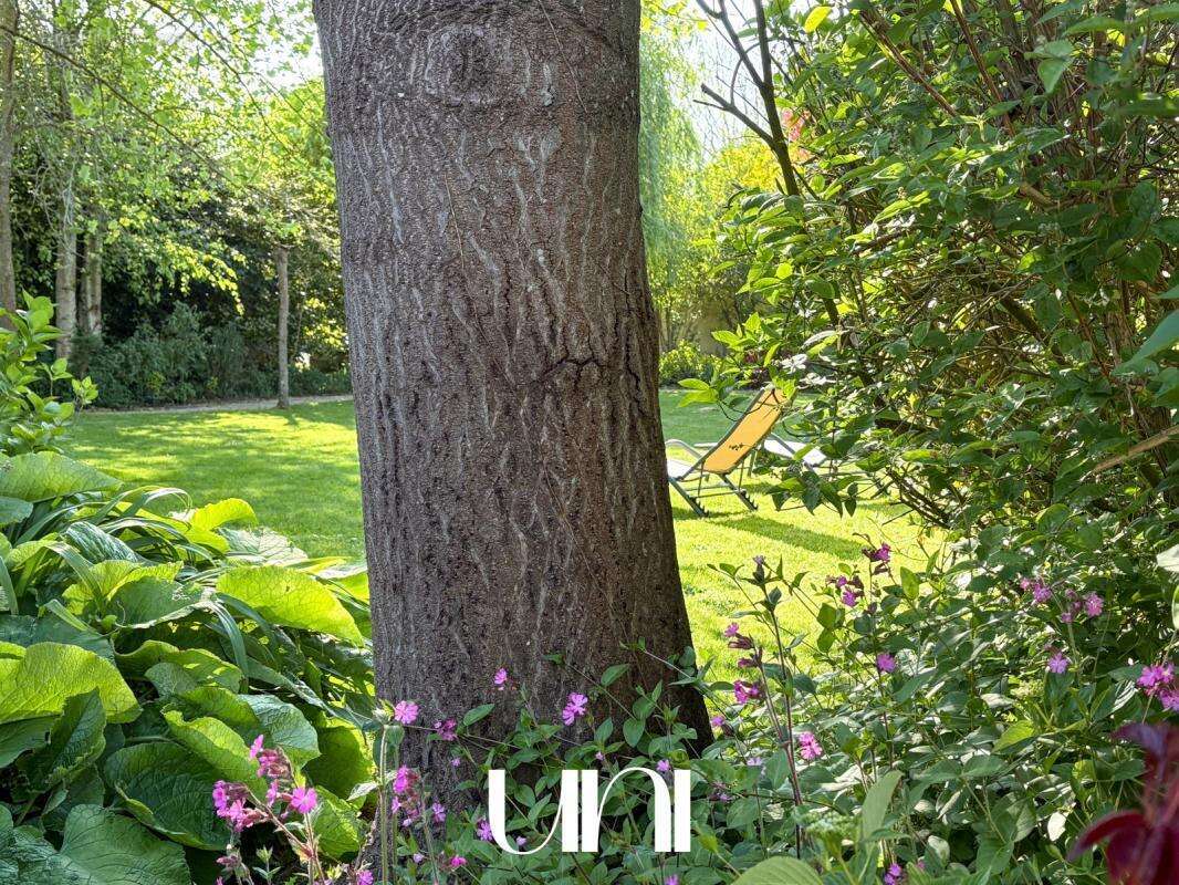 Maison à FONTAINE-HENRY