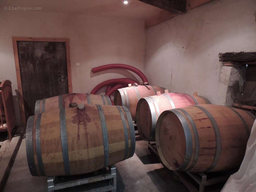 Domaine avec vignoble en activité, maison familiale, gîte, piscine et court de tennis - photo 17