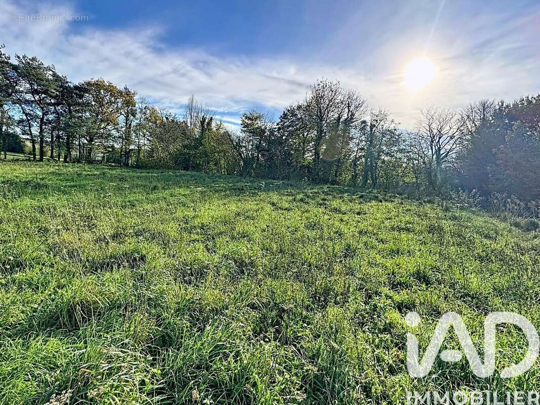 Photo 2 - Terrain à PLELO