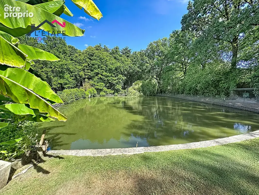 Maison 140m², Venansault,  4 chambres, Piscine, Terrain 5 000 m², - photo 2
