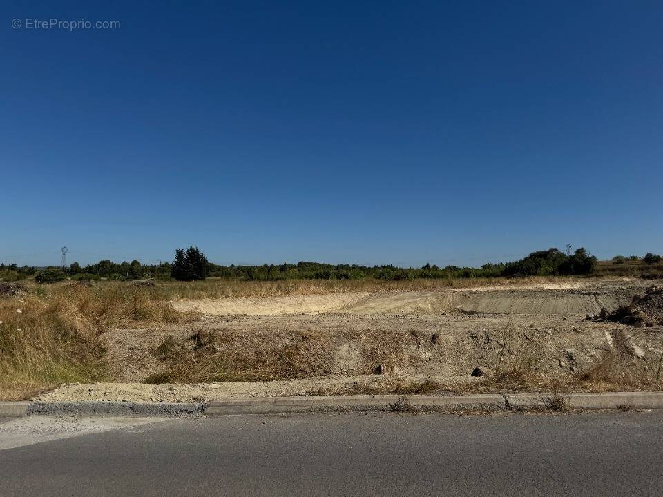 Terrain à LOUPIAN