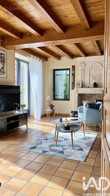 Maison 263 m² à Saint-Fort-Sur-Le-Ne  - photo 5