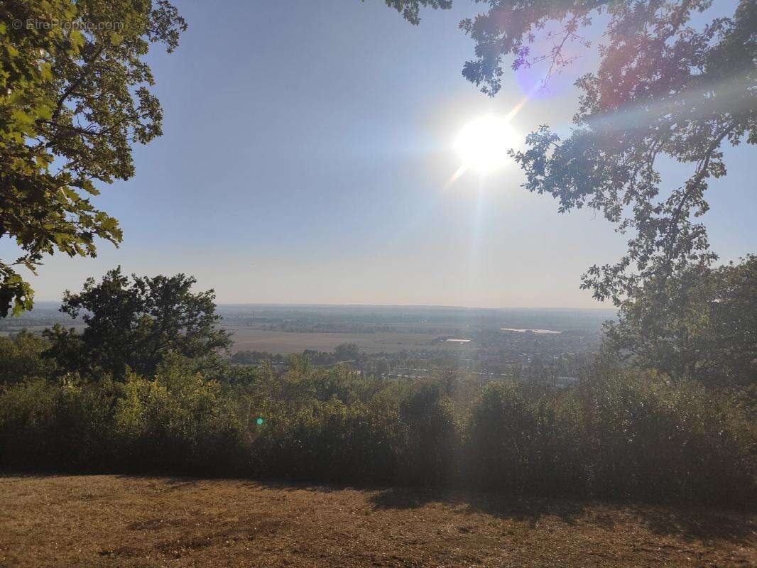 Terrain à GRISOLLES