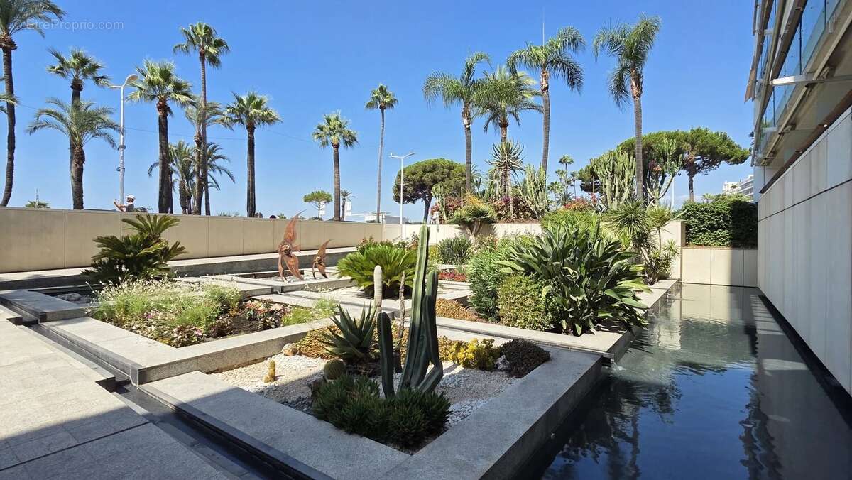 Cannes Croisette - 2P 60 m²- Terrasse Vue mer - photo 10