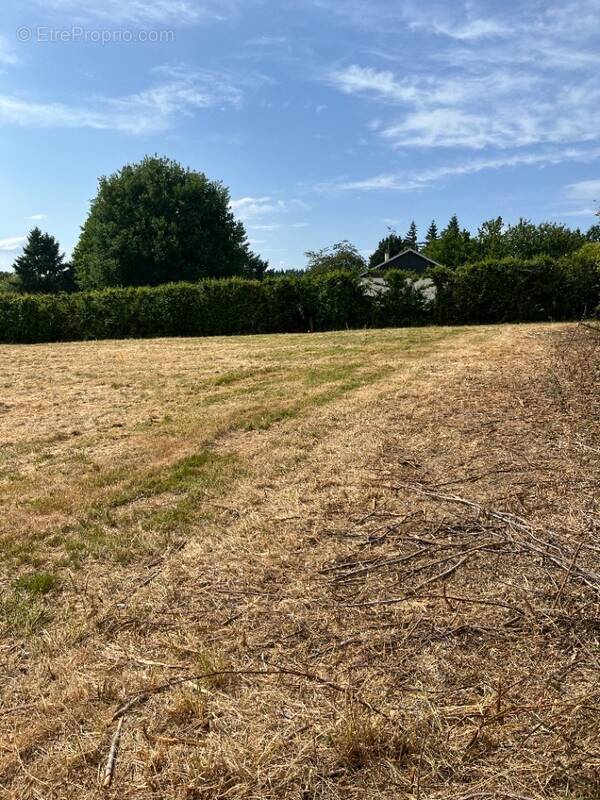 Terrain à ANCINNES