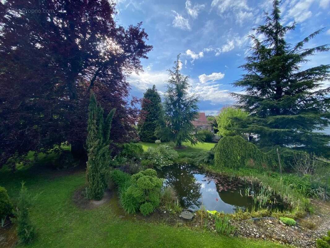 Appartement à ALTKIRCH