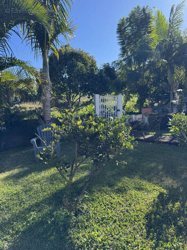 Photo 4 - Maison à LE TAMPON