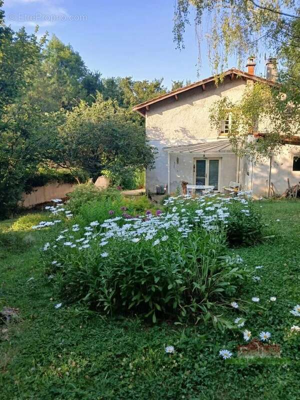 Maison à SEPTEME