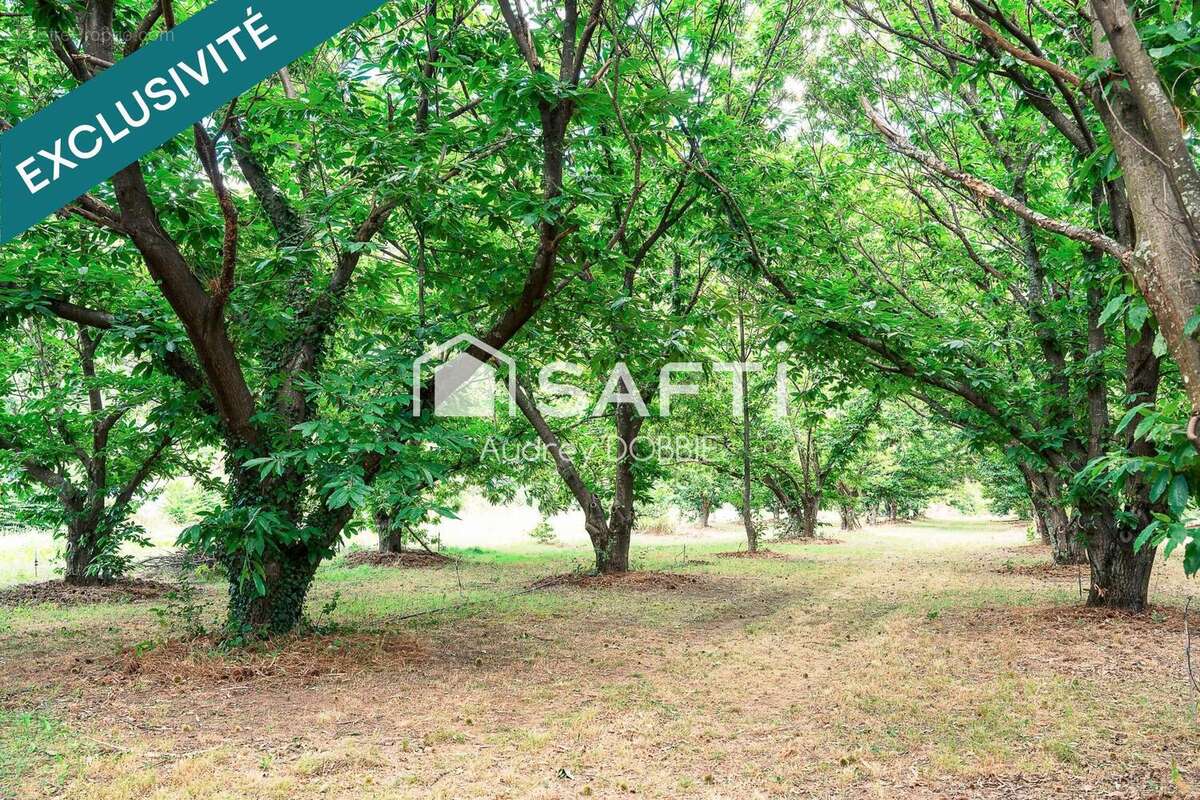 Photo 3 - Maison à LES VANS