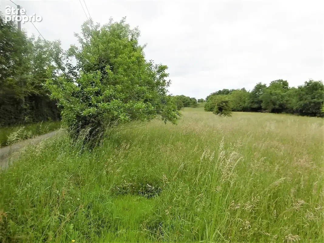Terrain 2 400 m² à vendre à Vignols (19130) - photo 122