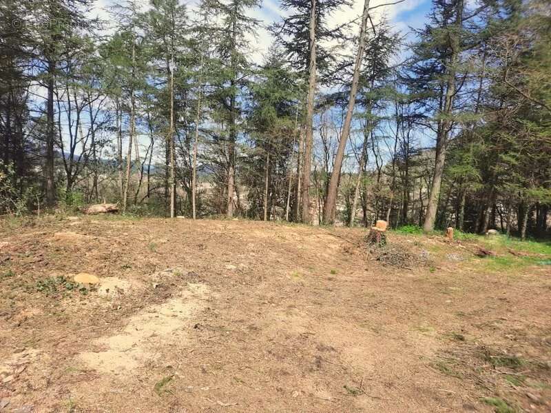 Terrain à SAINT-AMBROIX