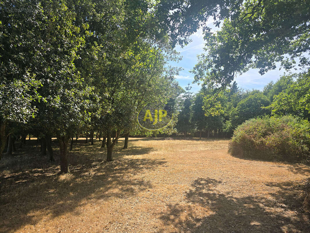 Ensemble GUEMENE-PENFAO Maison, dépendances sur  1 Hectare 4 de terrain - photo 12