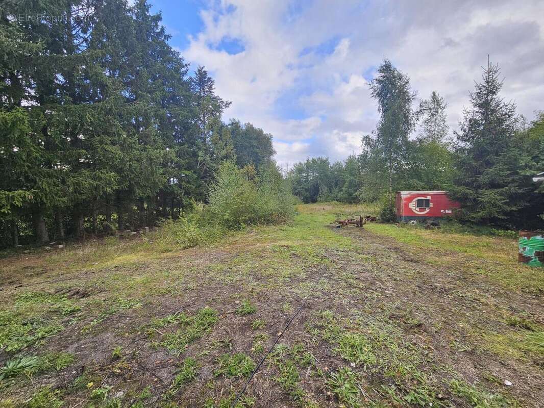 20250911_171346 - Maison à LES FORGES