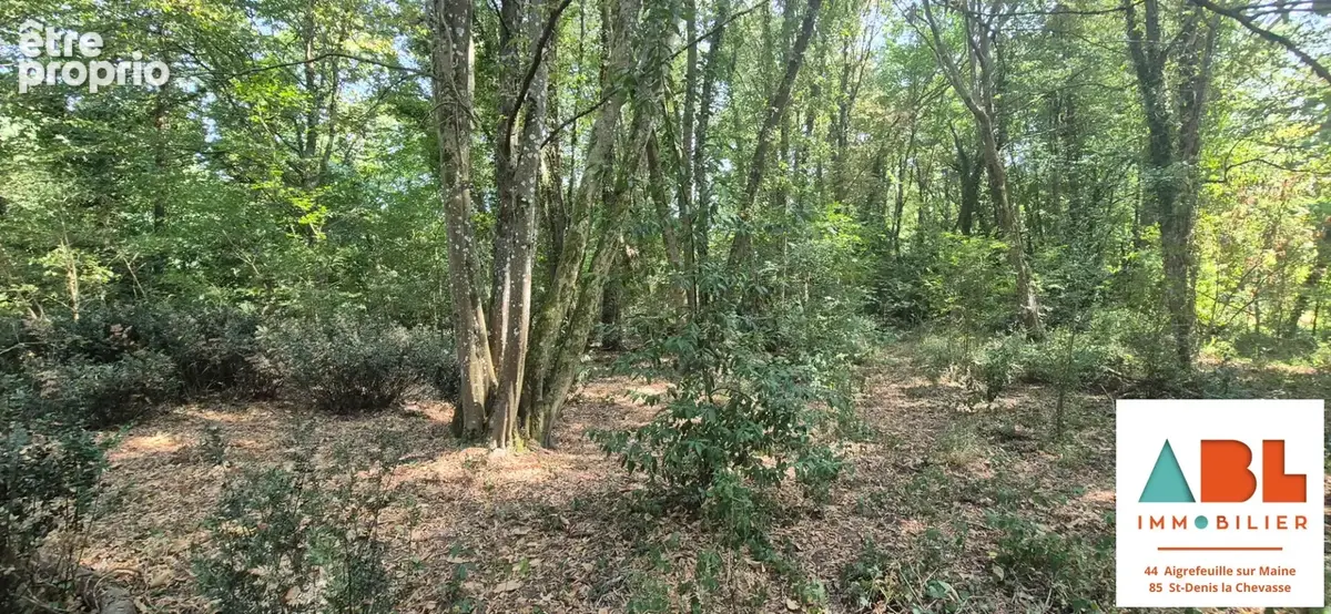 Terrain de loisirs boisé en bord de maine  1 241 m² - photo 4