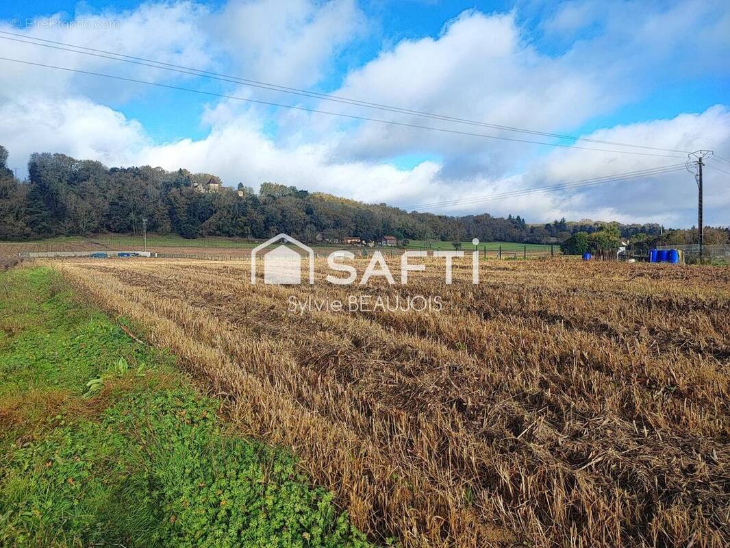 Photo 1 - Terrain à LALINDE