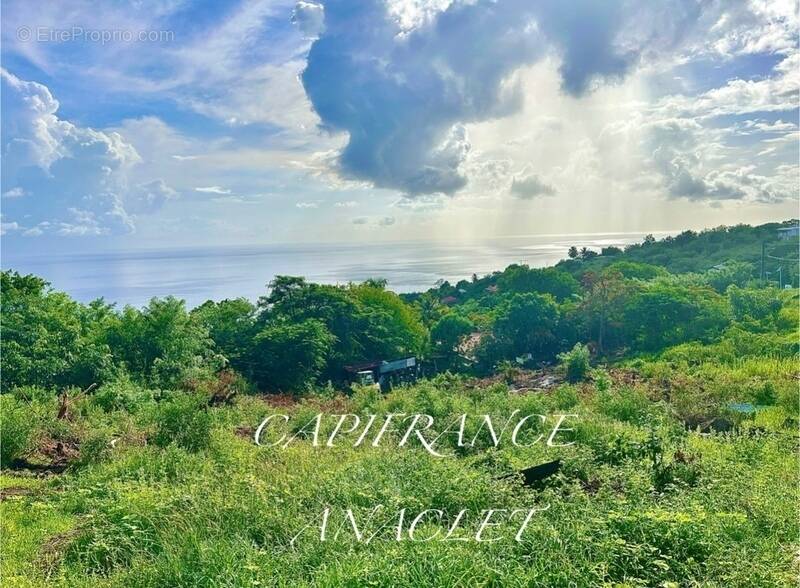 Terrain à BELLEFONTAINE