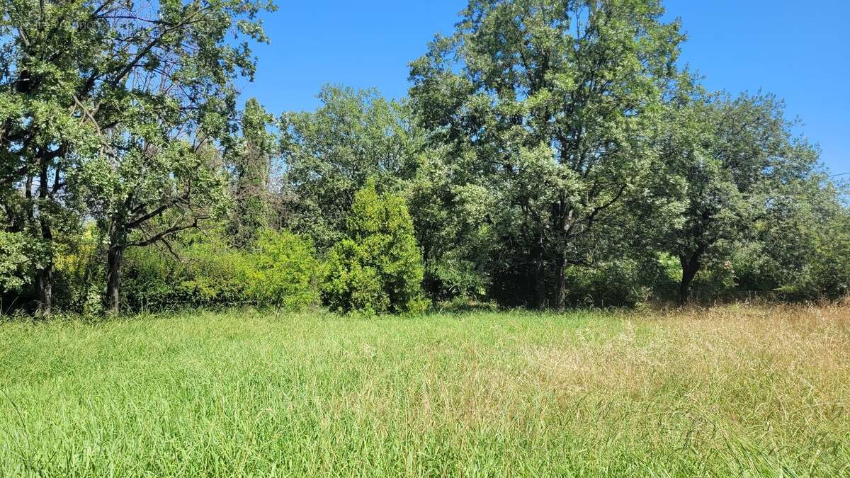 Photo 7 - Terrain à LA GAUDE