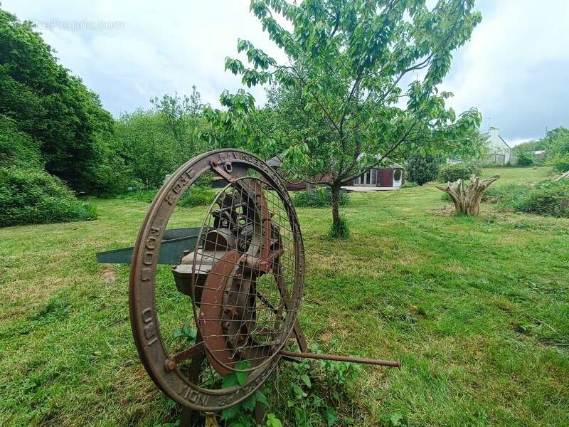  Écolieu en centre bourg - 2,4 ha - Scaër - photo 13