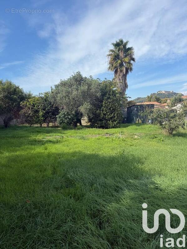 Photo 1 - Terrain à SIX-FOURS-LES-PLAGES