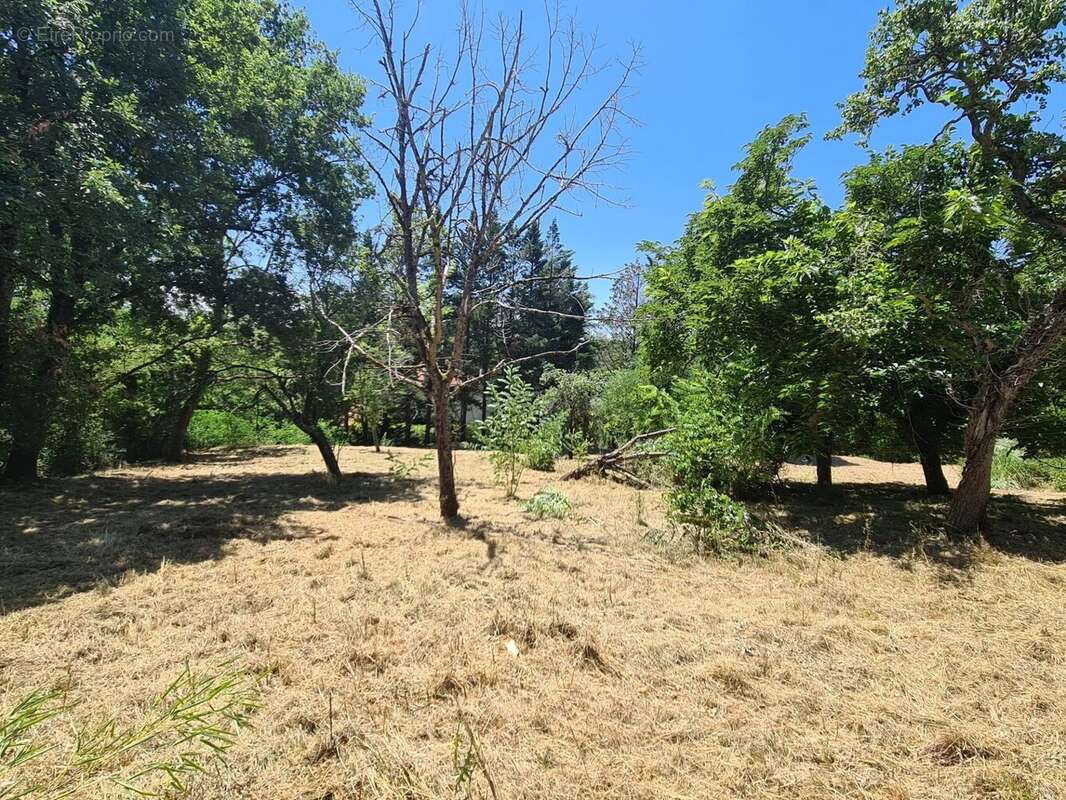 Terrain 1200 m2 - photo 5