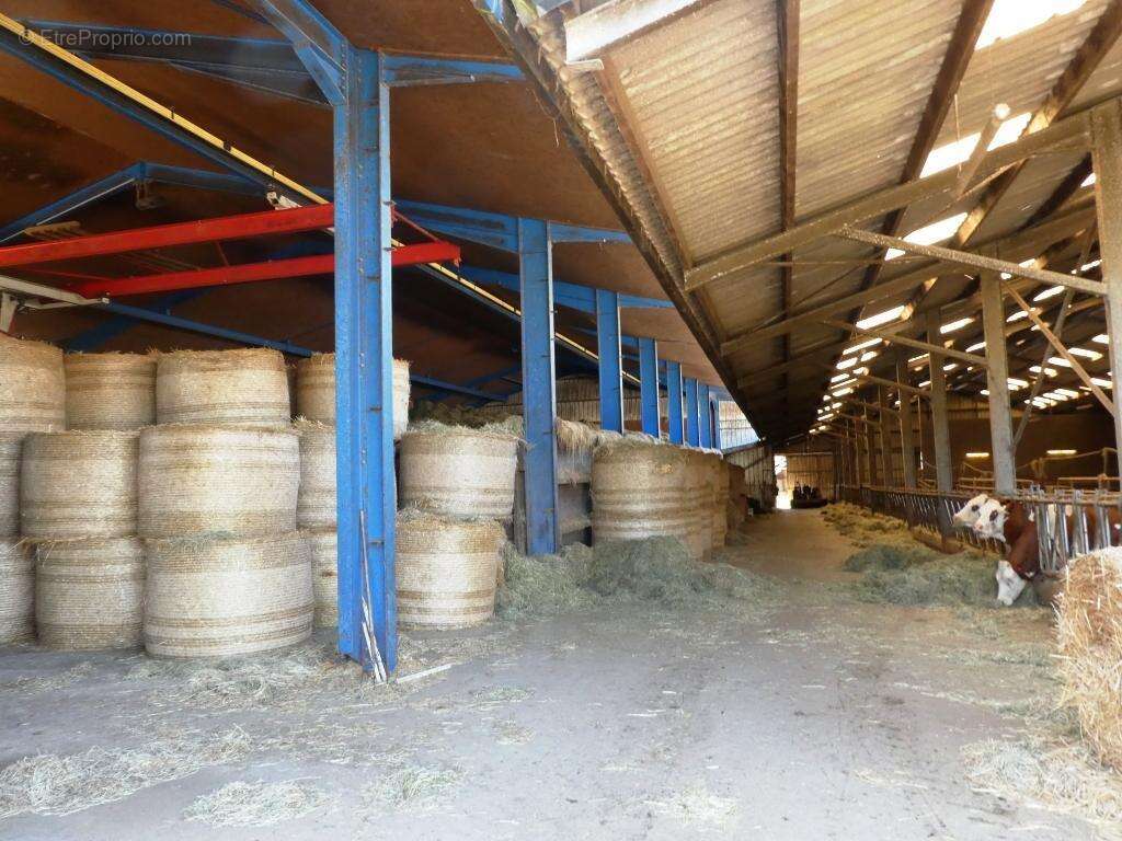 Exploitation agricole - photo 11