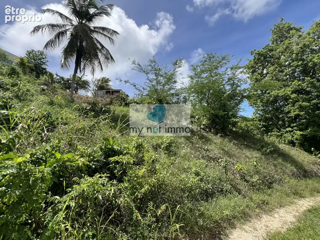 Terrain de 1024m2 en pente secteur Pliane - photo 2