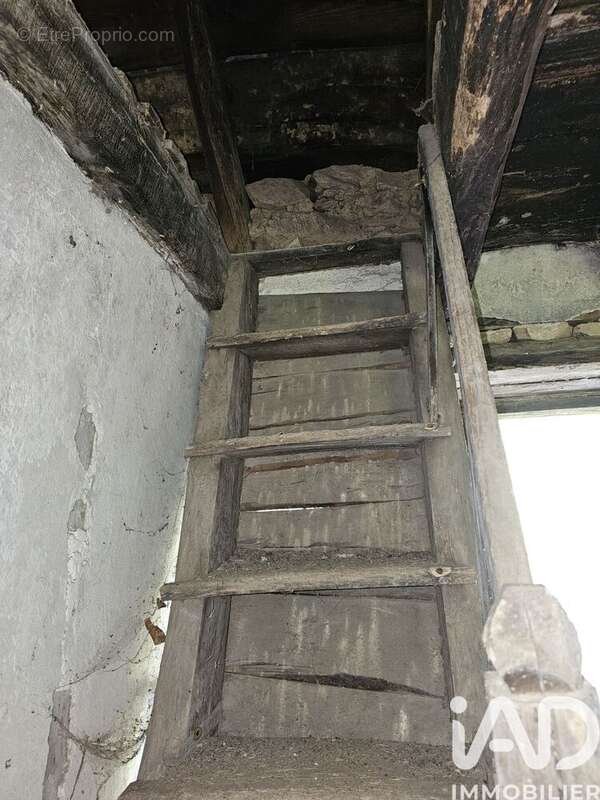 Maison 40 m² à Altillac  - photo 5