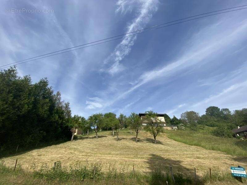 Terrain à BERG-SUR-MOSELLE