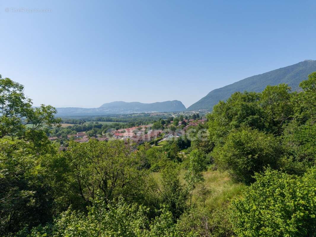 Maison à vendre 5 pièces PERON (01) - photo 40