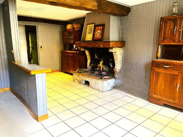 A vendre maison + grange remise jardin foret     puivert - photo 3