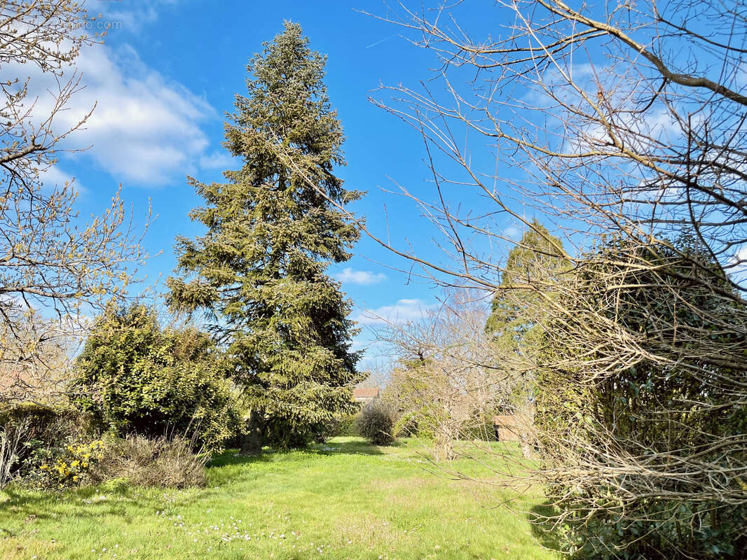 Maison à ROUMAZIERES-LOUBERT