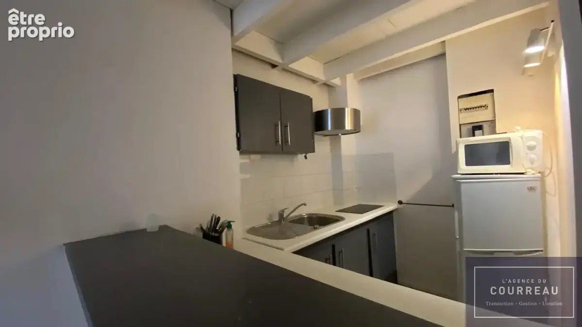 Magnifique duplex rénové de 30m2 - photo 15