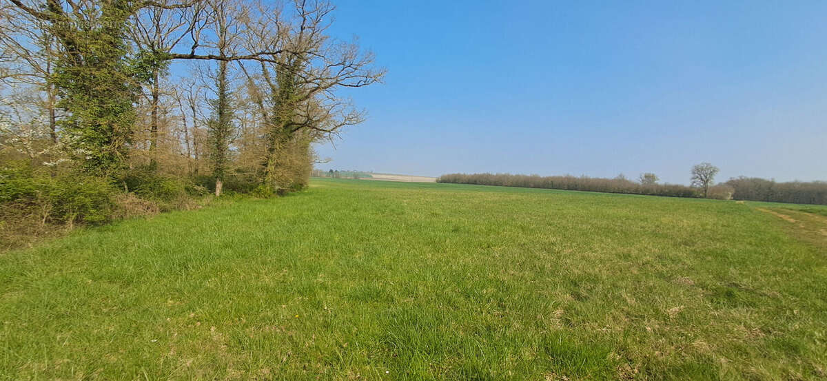 Maison Doussay 7 pièce(s) 187.22 m2 - photo 5