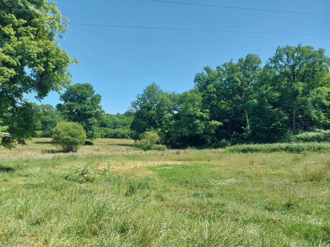 Maison à ROUMAZIERES-LOUBERT