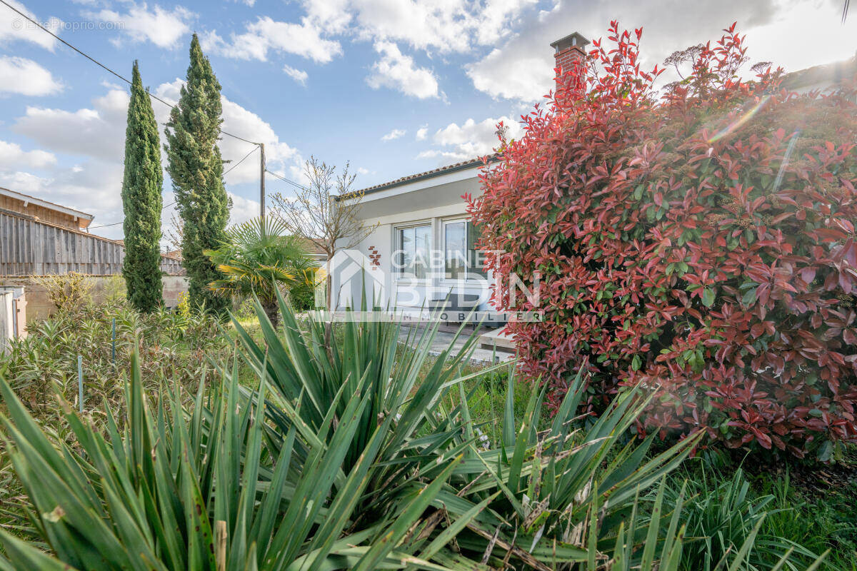 Maison à SAINT-MEDARD-EN-JALLES