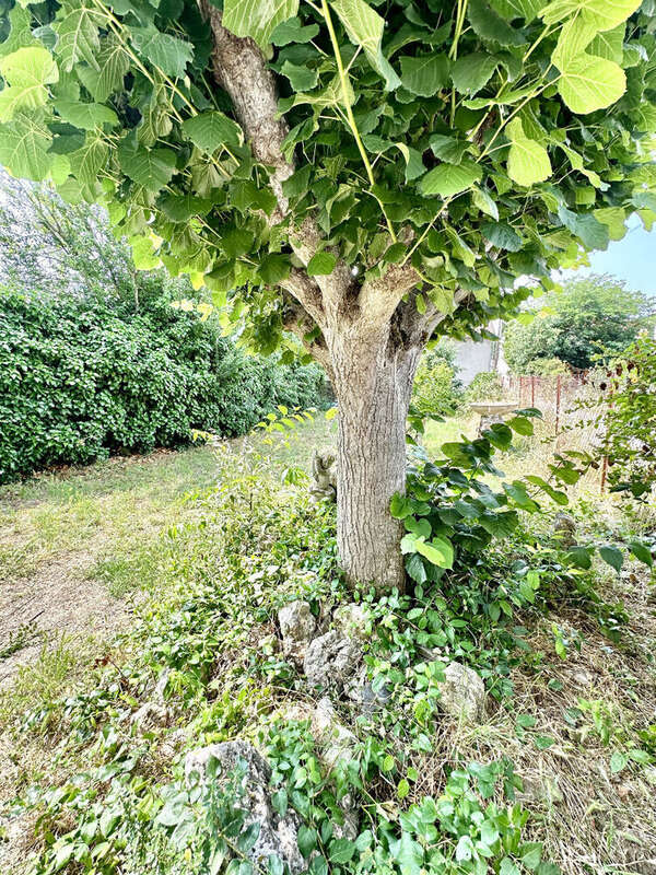 Maison à CARCASSONNE