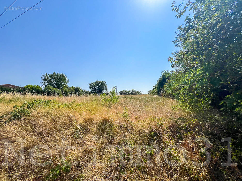 Terrain à PUYLAURENS
