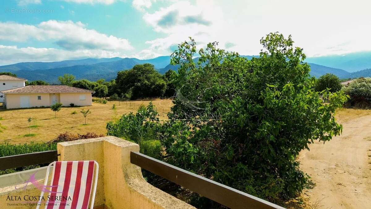 Haut de villa - morta (20243) - photo 4